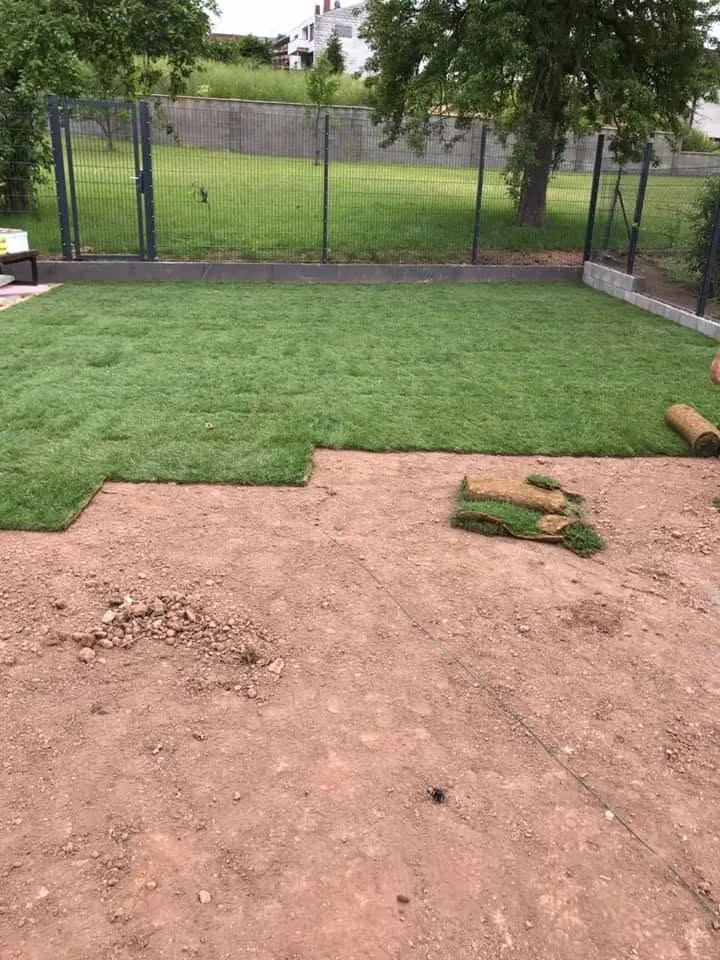Frisch verlegter Rollrasen in einem Garten